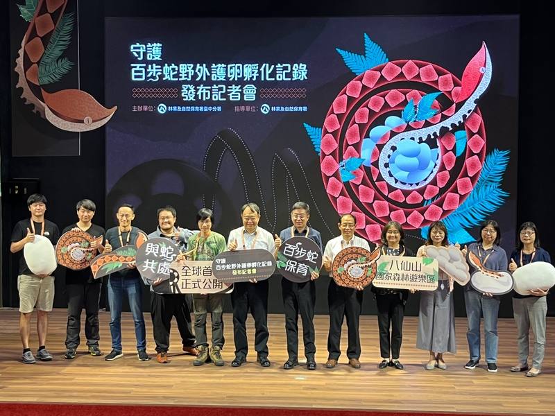 農業部林業及自然保育署11日舉行「守護：百步蛇野外護卵孵化記錄」發布記者會，宣布8月上旬將在兩棲爬行動物學大會發表、2025年投稿國際期刊。