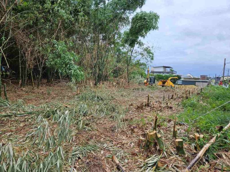 林業署嘉義分署13日推廣竹林更新技術，以廢竹就地破碎（圖）取代焚化，鼓勵農民更新竹林時保留面積約25%竹叢、植栽作為保育諸羅樹蛙庇護所。（林業署嘉義分署提供）