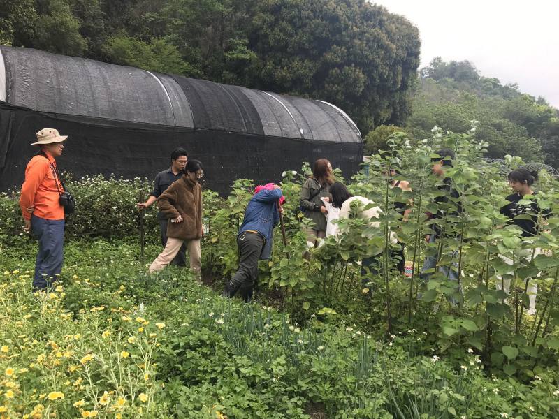 松林社區以苧麻處理工作坊方式深化婦女苧麻工序技術