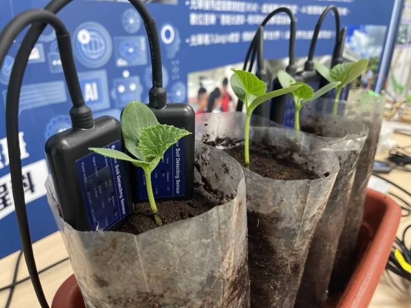 台中市光華高工攜手清華大學，以物聯網（IoT）、人工智慧（AI）建置智慧溫室，透過AI技術監測、分析植物成長狀況，體現學子在跨領域學習的實踐能力和創新思維。（台中市教育局提供）