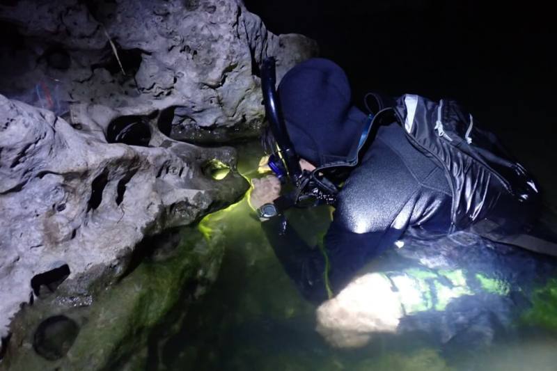 陸蟹學者李政璋說，陸蟹棲地面臨嚴重的環境威脅，包括人工工程及路殺等問題，需各界共同重視及維護生態環境。因為陸蟹夜間活動習性，李政璋常在夜晚摸黑調查。 （李政璋提供）