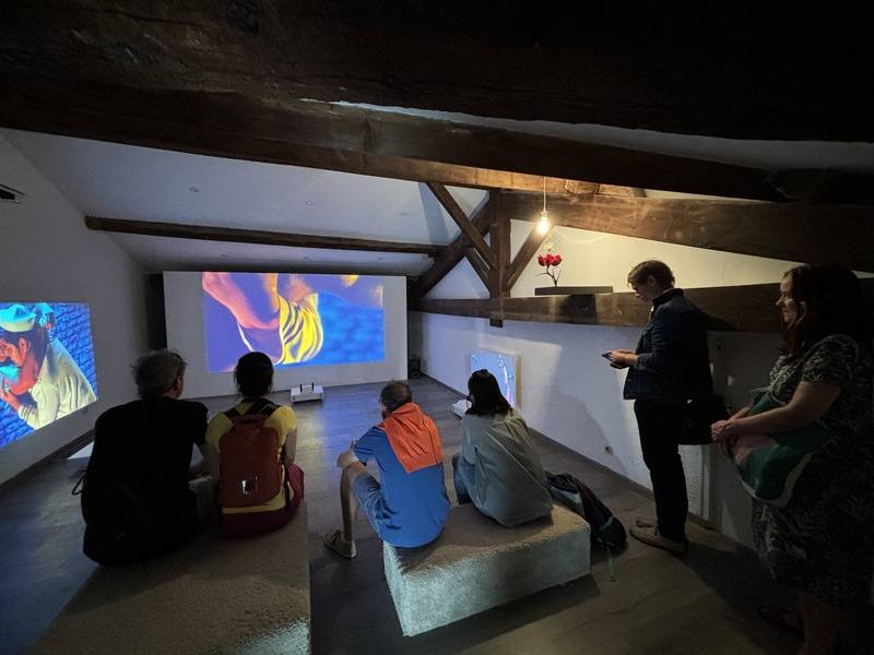 亞爾國際攝影節上，Manuel Rivera-Ortiz基金會邀請藝術家王俊傑參展，其作品「激情」（Passion）是三頻道錄像裝置，透過10多分鐘的影像，探討人的慾望、熱情、死亡，以及藝術的本質。