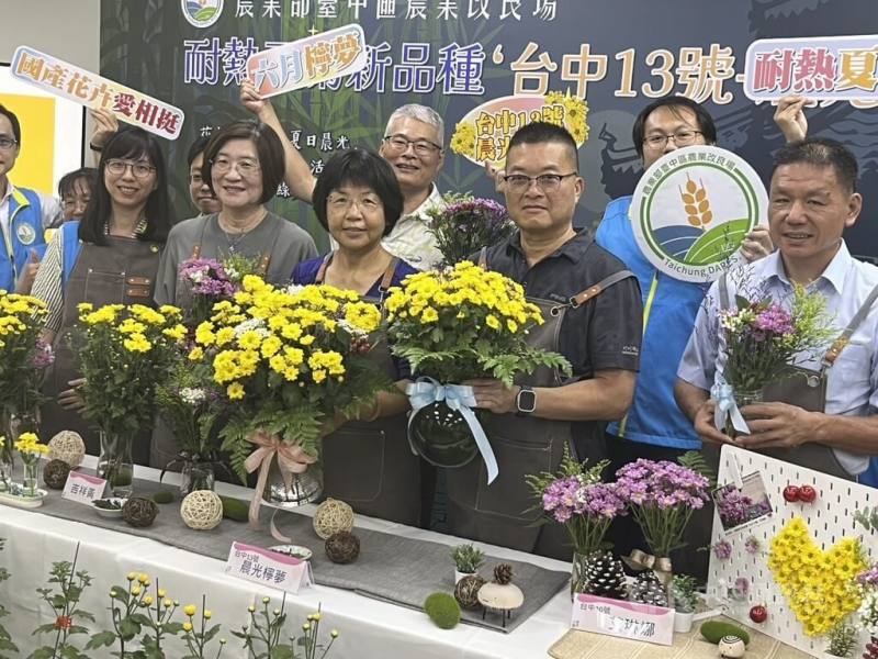 台中區農業改良場費時9年育成新品種夏菊「台中13號–晨光檸夢」，具有亮黃色半重瓣、綠色花盤，耐熱性極佳，9日公開發表，預計消費者最快民國114年就能在市場購得。