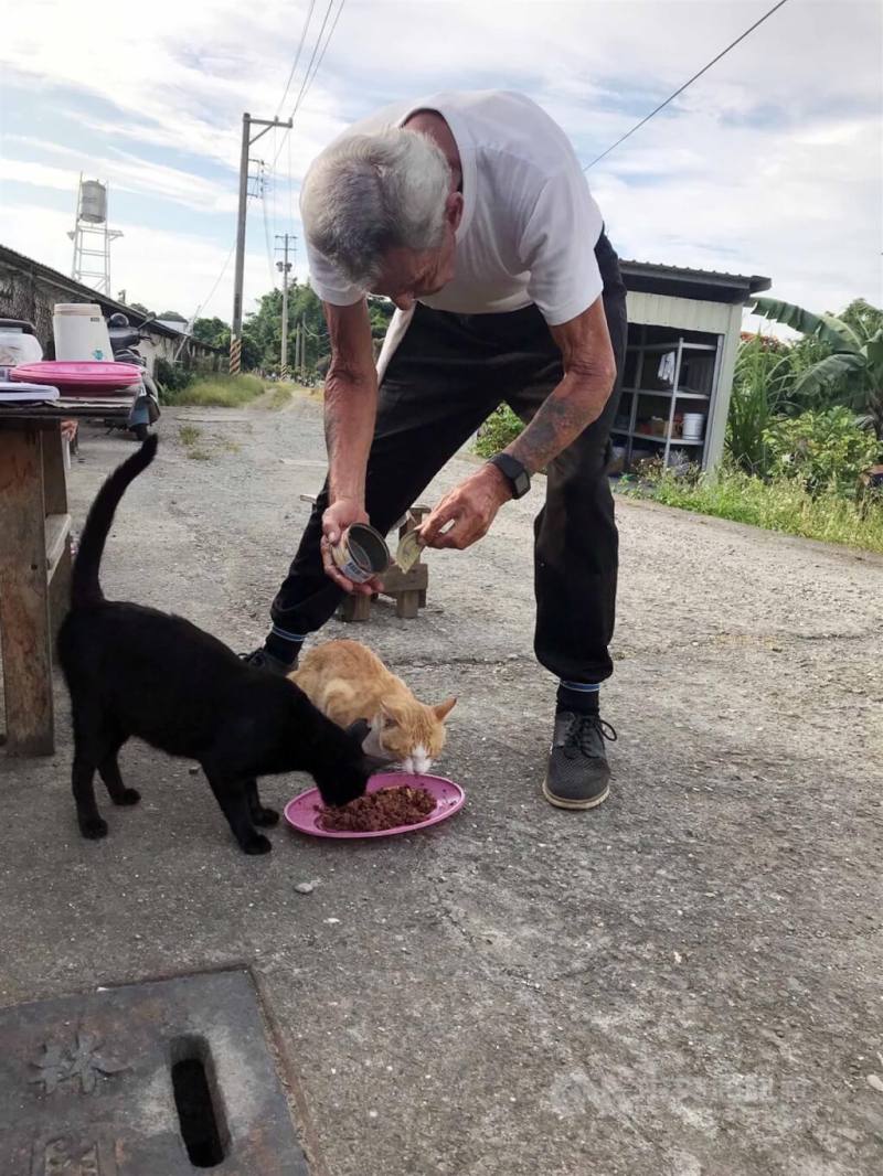 馬凱杰生性愛貓，不惜龐大的花費和開銷餵養流浪貓，讓牠們吃好吃飽。中央社記者王淑芬攝 108年6月10日