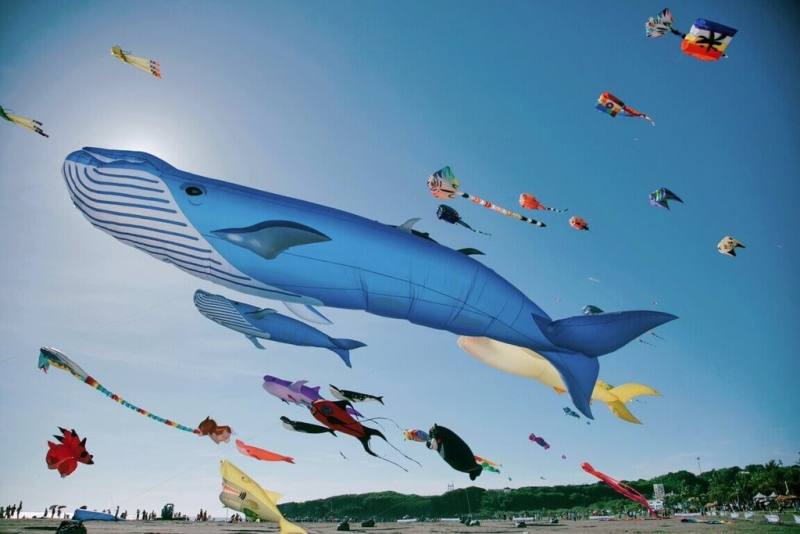 「2024旗津風箏節暨氣墊水樂園」活動將於20日起連續2週六、日規劃主題風箏展演；首週「海洋派對」由12米高雄熊領軍，帶領鯨魚、魟魚、章魚、螃蟹等各式海洋生物，遨遊旗津天空。（高雄市觀光局提供）