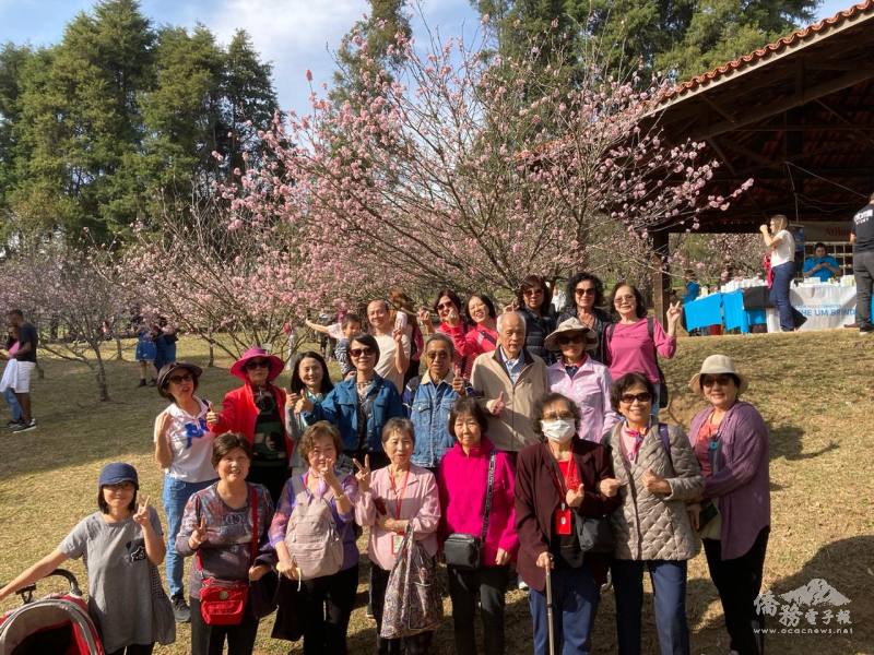 全團攝於櫻花樹前