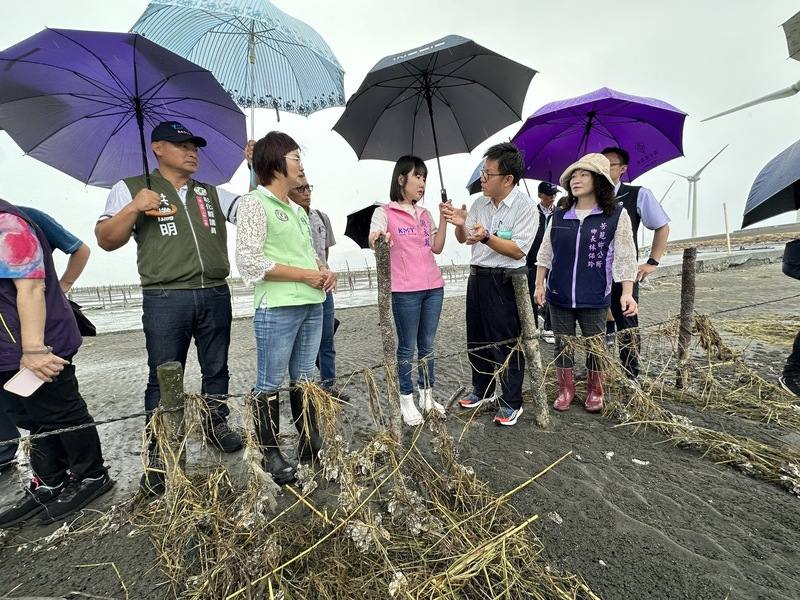 颱風凱米重創彰化縣蚵田，農業部漁業署副署長陳建佑（前右2）29日與國民黨立委謝衣鳯（前右3）、民進黨立委陳素月（前左2）等人到芳苑鄉沿海勘災。