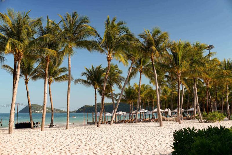 星宇航空宣布，10月27日將開航台中至越南富國島航線，每天1班往返，為中台灣旅客提供更便利的飛航服務。（星宇航空提供）