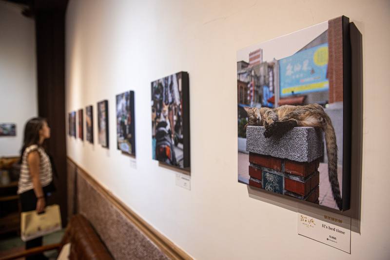 百年餅店李亭香主辦「漫步貓街大稻埕」攝影展，以徵件方式募集民眾看見的大稻埕貓咪風景，並由OLYMPUS PLAZA TAIPEI合作攝影師及攝影師菜菜子擔任評審，從近800件投稿作品中選出30件作品，即起展出至25日