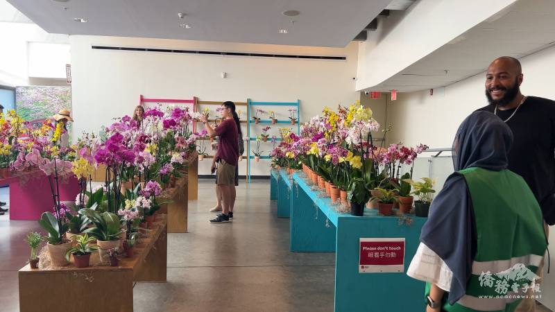 「臺灣：蘭花世界」展覽，展出近千盆不同種類的蘭花