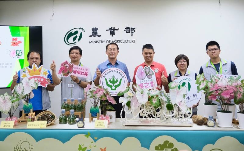 農業部種苗改良繁殖場13日下午舉辦彩葉芋新品種「種苗3號－璀璨紅晶」、「種苗4號－櫻之雪」發布記者會，種苗場長張定霖（左3）、助理研究員劉名旂（左2）等人一同合影留念