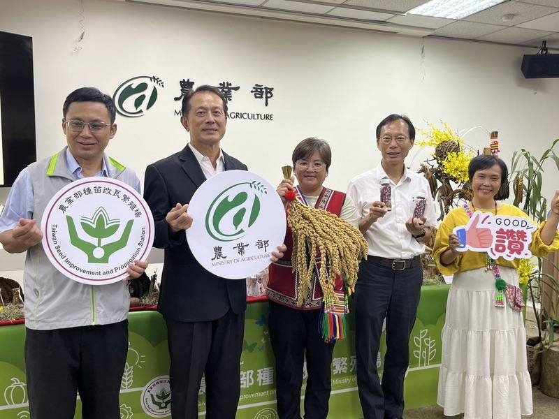 農業部種苗改良繁殖場20日表示，與慈心基金會合作4年，獲部落64人提供，繁殖更新178個小米品系，今年有57品系要回部落種植。