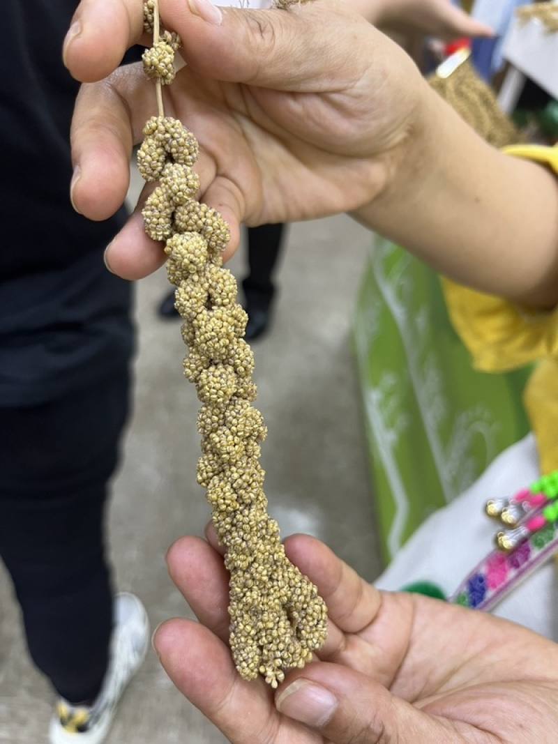 農業部種苗改良繁殖場指出，部落小米品系非常多，而且性能多樣化，例如像貓爪形的小米，因為好消化，往往作為老人、產後坐月子食用。