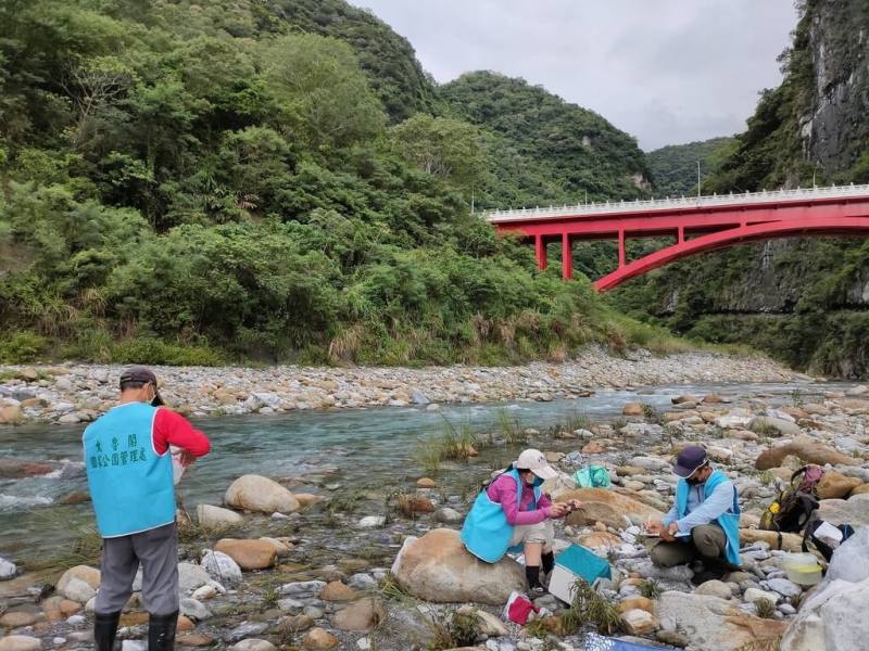 太魯閣國家公園內砂卡礑步道強震後受損嚴重，目前仍封閉中，太魯閣國家公園管理處持續與志工合作進行砂卡礑溪生態監測，發現當地溪流生態沒有明顯衰退，展現大自然自癒能力。（太魯閣國家公園管理處提供）
