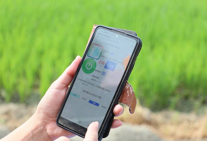 嘉義縣政府5日在朴子市舉辦「智能水稻管理系統成果觀摩會」，展示智慧農業創新應用，農民在家滑手機就可以遠端巡田與操作灌溉