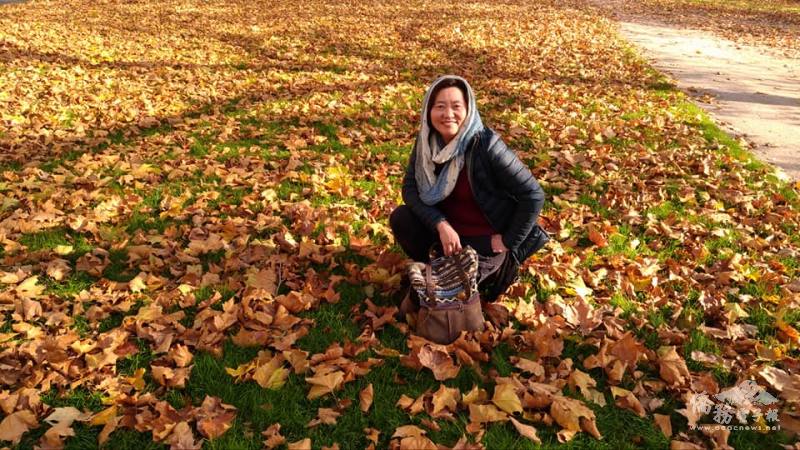 我們居家暮秋落葉的日常也是別人眼中的美景