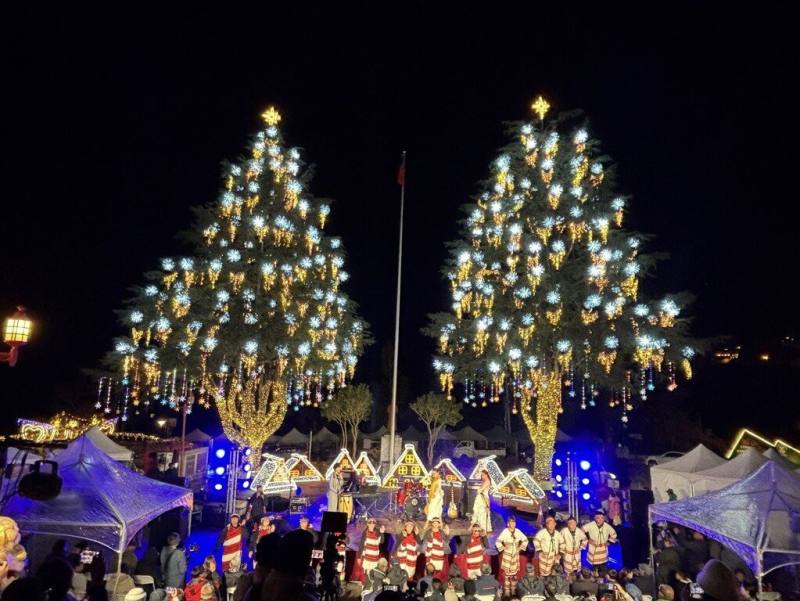 參山國家風景區管理處舉辦第4屆「2024山谷燈光節」，28日晚間進行點燈儀式，梨山賓館前的2棵雪松燈飾亮起，化身繽紛耶誕樹。（民眾提供）