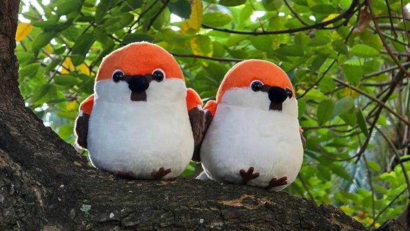 林業及自然保育署嘉義分署推出可愛山麻雀布偶，即日起於阿里山國家森林遊樂區、嘉義縣野鳥學會、梅山鄉瑞峰社區等地開賣，推廣保育山麻雀。（林保署嘉義分署提供）