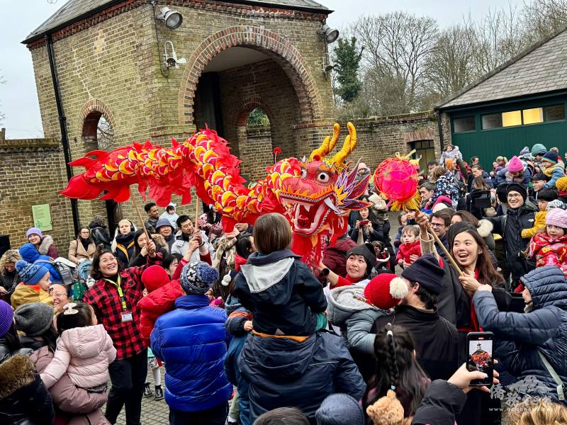 「玩中文」中文學校於倫敦舉辦蛇年新春親子活動，現場熱鬧溫馨 。(玩中文提供)