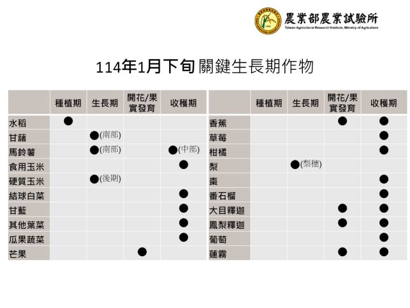 1月下旬關鍵生長期作物