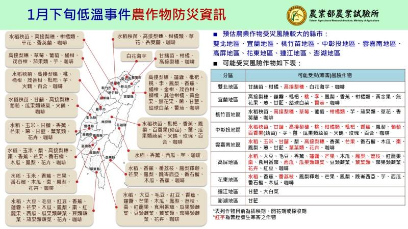1月下旬低溫農作物防災資訊