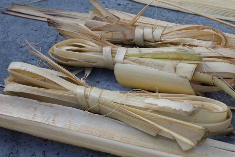 國立台灣工藝研究發展中心與台北市樹火紀念紙博物館近期合辦「野芭蕉的形狀」展覽，並深化台日纖維工藝交流，其中芭蕉纖維（圖）可用於織布、造紙，可再生性及對環境友好特質是永續工藝重要選擇。（國立台灣工藝研究發展中心提供）