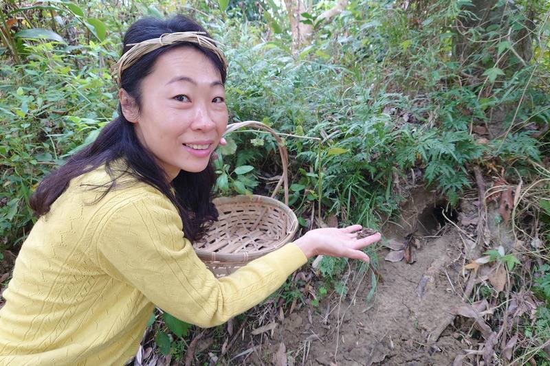 台南市龍崎區龍興社區結合自然生態，發展深度農村旅遊，社區發展協會總幹事陳靜儀指出，居民幾乎都傳承對環境相對友善的耕種及飼養方式，遊客可在居民導覽下找到穿山甲覓食洞