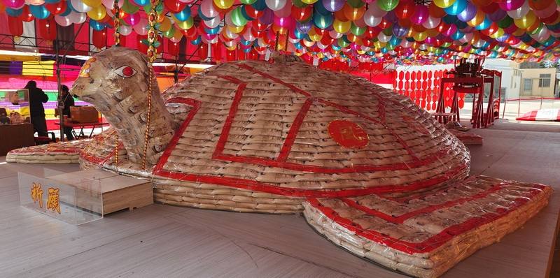 澎湖元宵「乞龜」活動，龍門觀音宮27日有重達4萬7000斤的米包龜亮相，2月8日起至15日開放民眾乞求