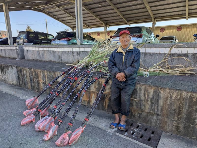 金門過年時，傳統上會買連根帶葉的甘蔗擺在門後，象徵「節節高升」。圖為有50多年賣甘蔗經驗的攤商林天從。
