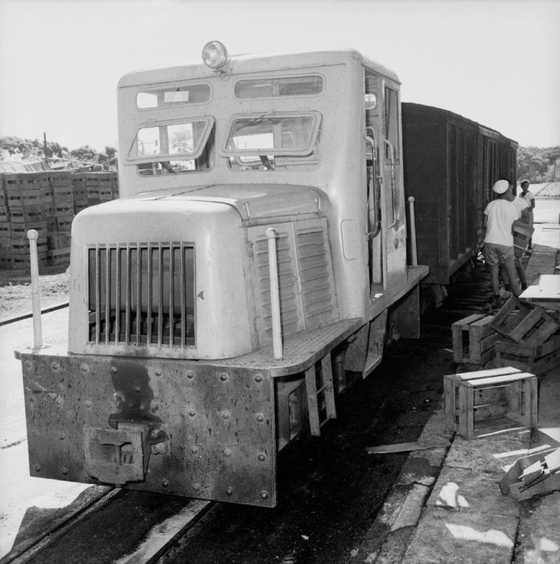 早年台灣大量種植鳳梨並製作為罐頭，農民與台糖合作，鳳梨收成之後以牛車、小火車運往鳳梨工廠。（國發會檔案管理局提供）