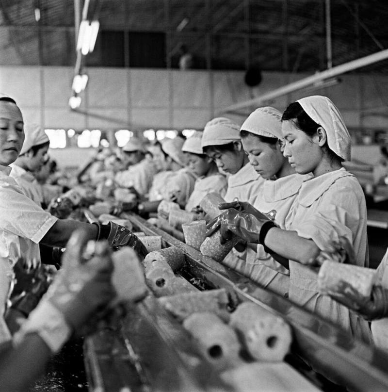 早年台灣鳳梨罐頭外銷數量驚人，鳳梨工廠生產線努力運作，為台灣賺進大把外匯。（國發會檔案管理局提供）