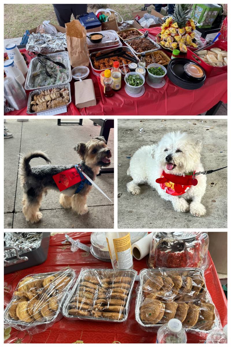 充滿過年歡樂氣氛的佳餚，連毛孩也喜氣與家人一起出席