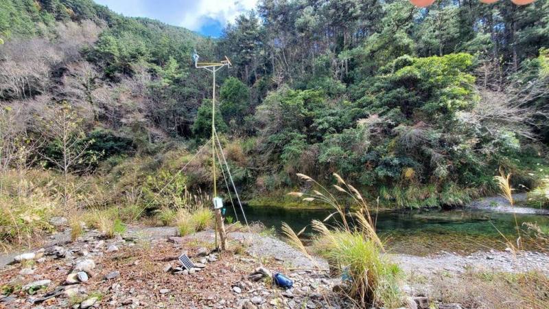 雪霸國家公園管理處7日表示，研究團隊首次將猛禽棲架搭配自動相機應用在溪流環境，成功在武陵地區七家灣溪畔監測到台灣體型最大貓頭鷹黃魚鴞的身影。（雪霸國家公園管理處提供）