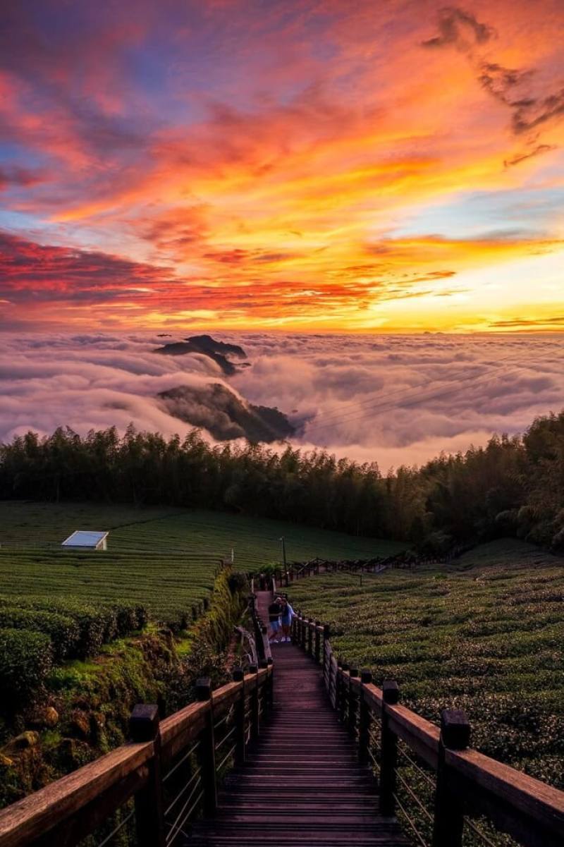 阿里山攝影達人黃源明獲交通部觀光署114年度台灣觀光之友肯定，30多年來持續透過鏡頭推廣阿里山美景。圖為石棹步道群的雲海火燒雲。（黃源明提供）