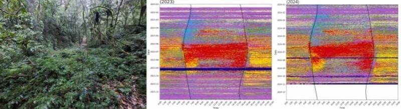 林試所表示，著手在福山植物園導入聲學監測2年，資料處理後繪製出2個年度聲景動態圖。（林試所提供）