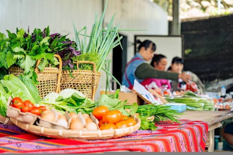 台灣世界展望會輔導南投當地部落家庭生產「原鄉蔬菜箱」，協助部落家庭以友善環境的方式生產時令蔬果與新鮮雞蛋，更透過培力居民參與包裝、運銷、客戶服務等流程，創造多元就業機會。（台灣世界展望會提供）