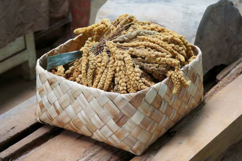 Practical woven shell ginger containers like this one are used by Bunun people in daily life.​​