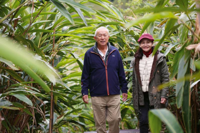 ginger in the indigenous community of Naro in Hsinchu’s Jianshi Township, opening a pathway to the future for young people in the area.​​