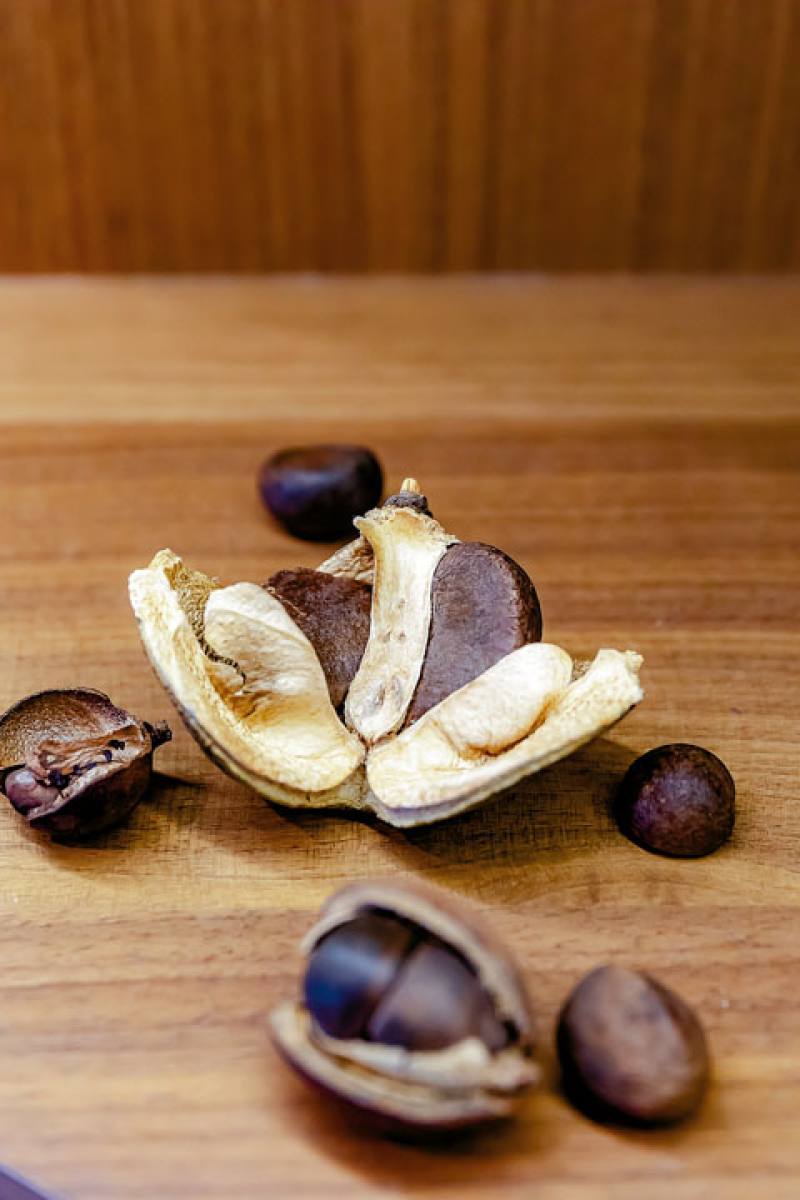 茶籽堂推動「苦茶籽的全運用」，達到永續利用目標