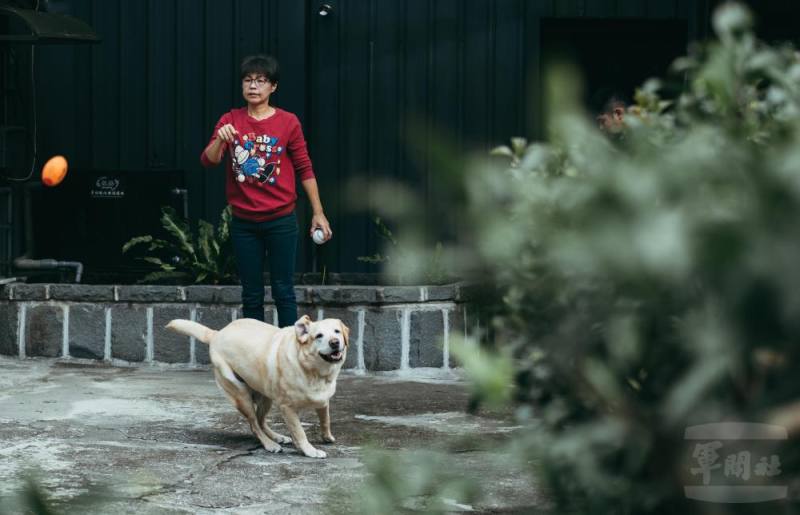 目前共有19隻軍犬退役並接受良好的照顧