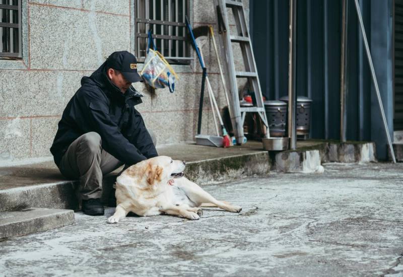 軍犬訓練師實際家訪領養人居家環境，觀察犬隻的狀態