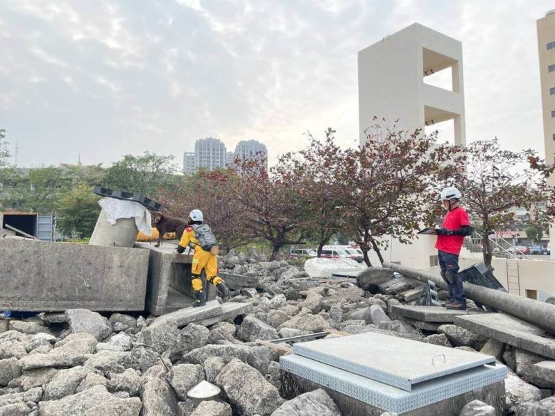 高雄市政府消防局參與搜救犬領犬員進階訓練及國際搜救犬認證評測，6組警義消領犬員及搜救犬全數通過，取得4隻中級和2隻初級認證佳績。（高市消防局提供）