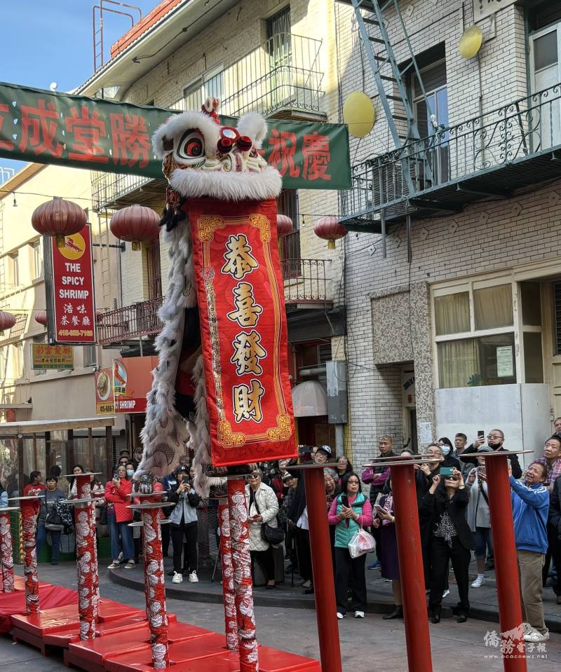 梁館白鶴龍獅團帶來舞獅表演，眾人紛紛喝采