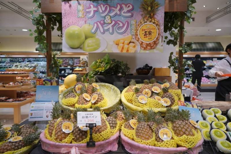 屏東鳳梨與蜜棗插旗日本九州地區高端市場，7日舉行展售揭幕記者會，屏東鳳梨及蜜棗將在日本九州上架銷售1個月。（屏東縣政府提供）