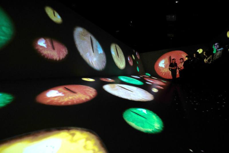 台灣師範大學圖文傳播學系學生從英國藝術家奧利．艾普（Oli Epp）的作品「阿爾戈斯」（Angos）延伸發展，透過動畫與AI生成技術，打造充滿懸念氛圍的沉浸式短篇。（師大美術館提供）