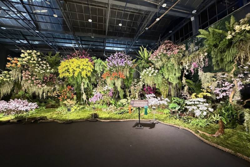 一年一度的台灣國際蘭展在台南展出，國際景觀布置競賽有越南、印尼、日本、德國等團隊參與，最終由泰國團隊作品（圖）奪得金牌。（台南市政府提供）