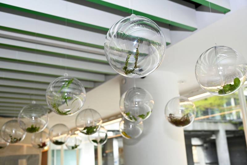 「城市裡的綠夢探險記」微型兒童藝術教育展展場一隅