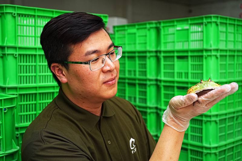 屏東觀賞蛙養殖場「蛙一堆」創辦人陳冠博表示，公司願景為利用人工繁殖青蛙，取代野外捕捉進入國際寵物貿易市場