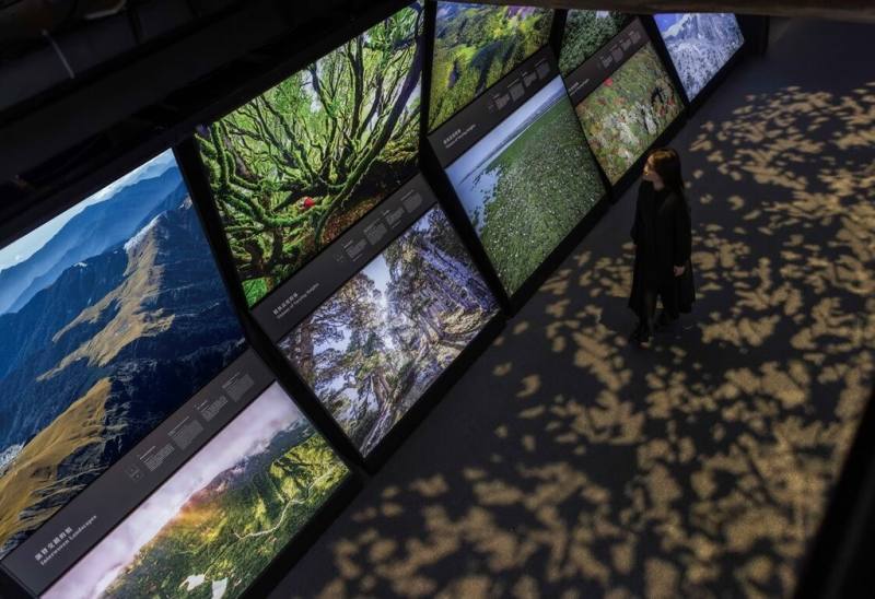 齊柏林空間第6檔影像主題展「共森」21日正式開幕，透過已故導演齊柏林的空拍影像，呈現台灣多樣性生態。（看見．齊柏林基金會提供）