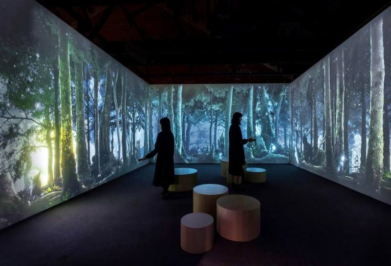 齊柏林空間環境主題影像展「共森」21日正式揭幕，看見．齊柏林基金會表示，盼能透過展覽傳播環境意識，打造更豐富的全齡環境教育。（看見．齊柏林基金會提供）